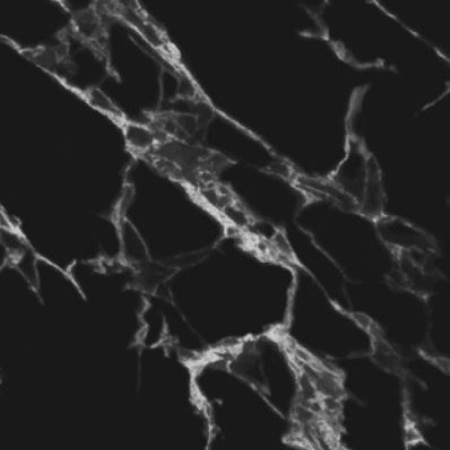 Фартук кухонный 3000х600х1,5мм Крестола Black---